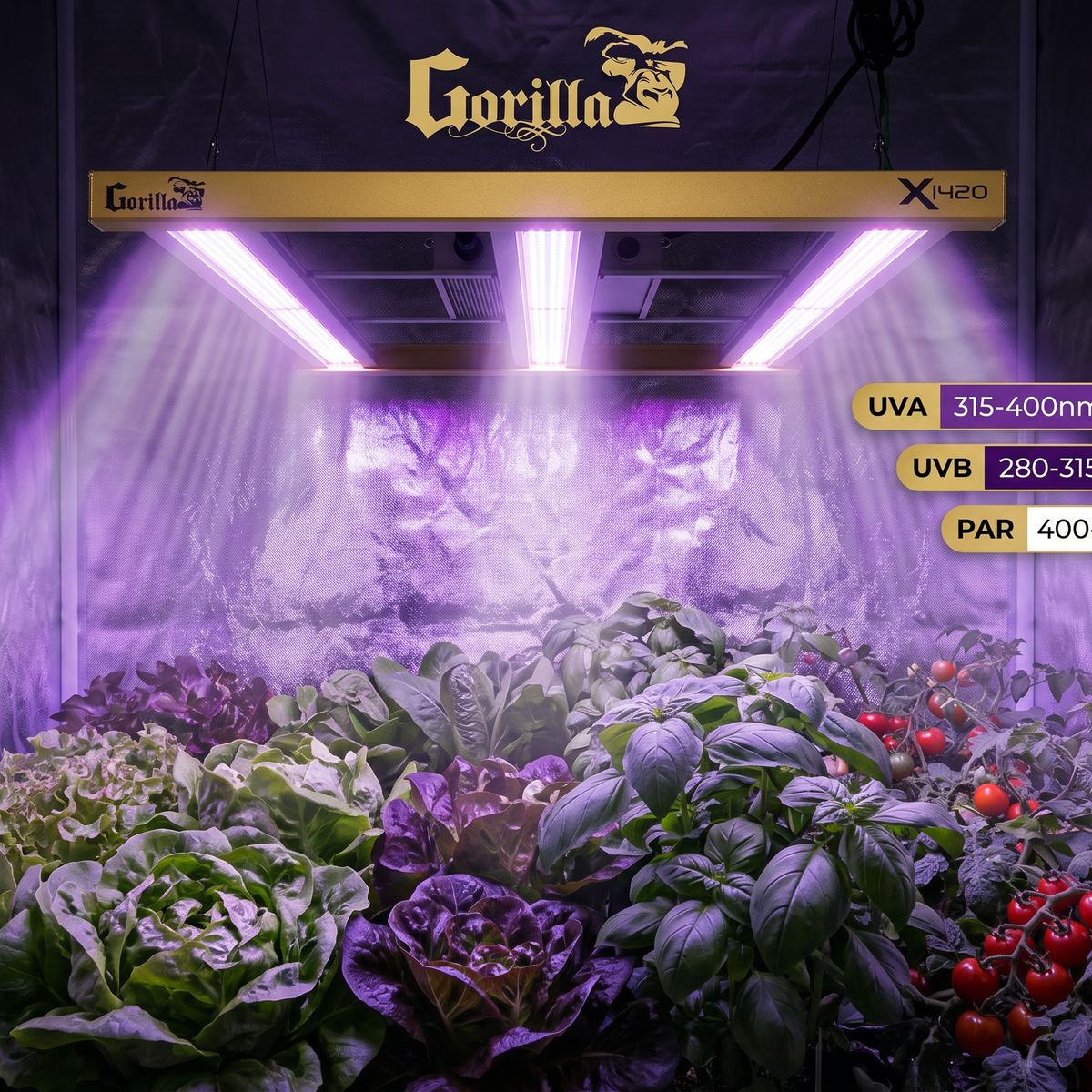 UV Light for Plants: Complete Guide to Enhanced Indoor Growing