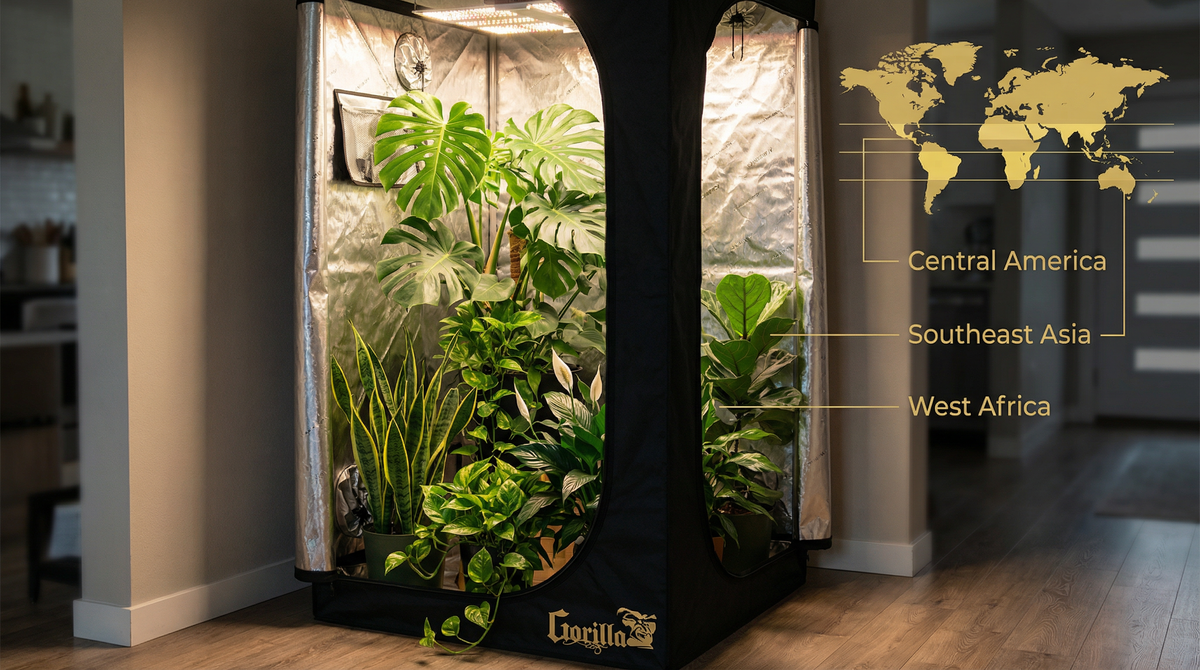 Where Does Plant Grow Naturally? Cannabis Origins & Wild Habitat