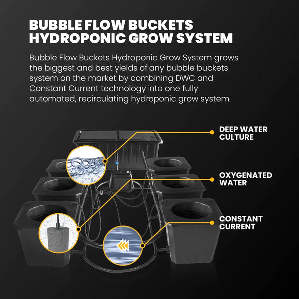 Hydroponic Bucket System: Efficient, Easy-to-Use Solutions for Gardeners