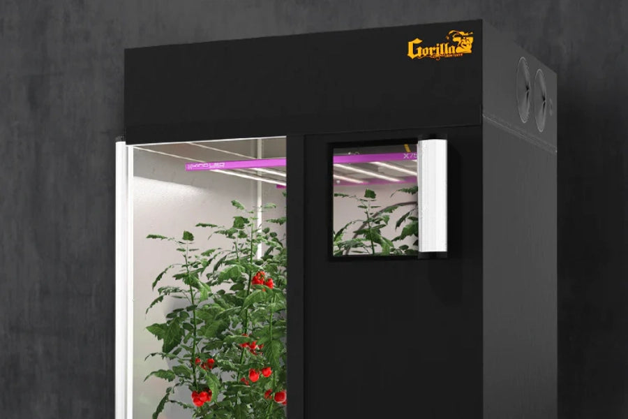 Indoor Grow Tent Kit: Complete Setup for Indoor Gardening