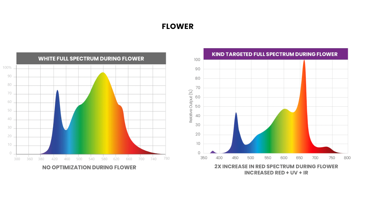 Led Light Distance Chart