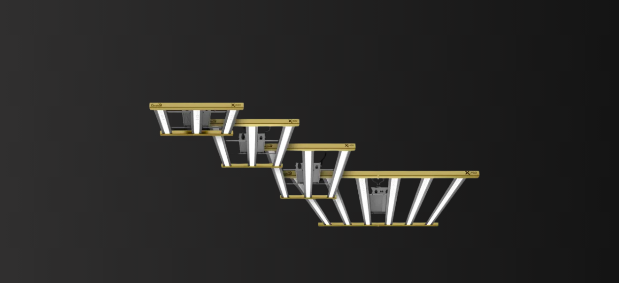 How to Choose the Best LED Grow Lights