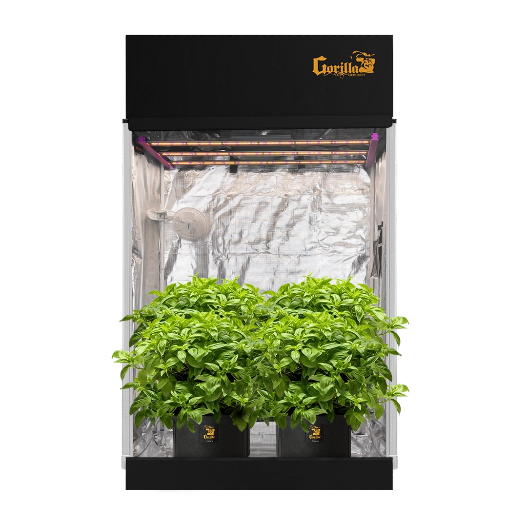 2x4 Grow Tent Kit - Soil, Mushroom Grow Tent Kit