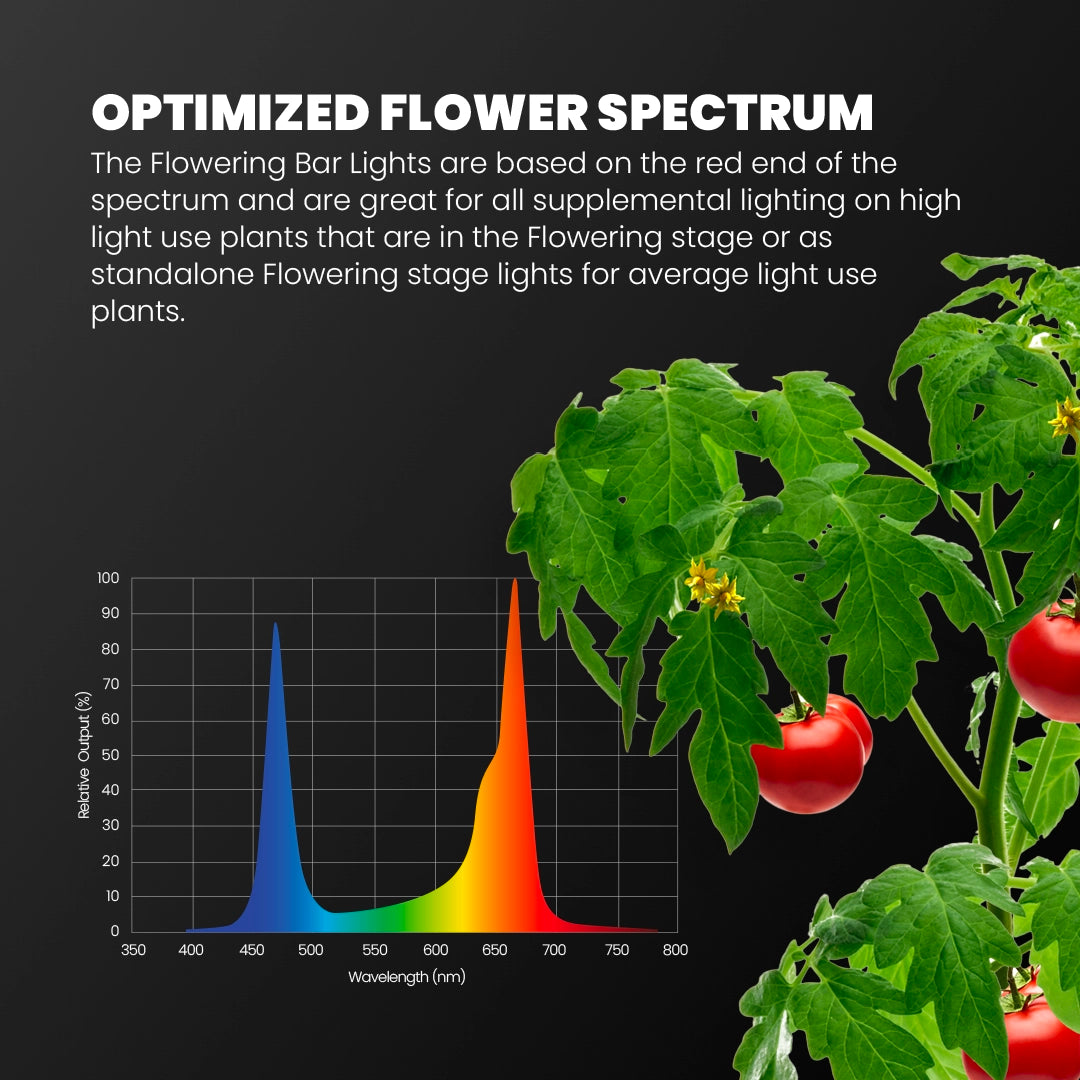 Grow Box - Gorilla 18” x 24” x 30” - Soil