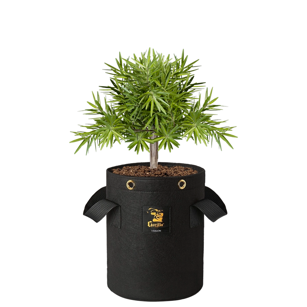 Gorilla 1 Gallon Fabric Grow Bags (4 Pack) | Gorilla Grow Tent