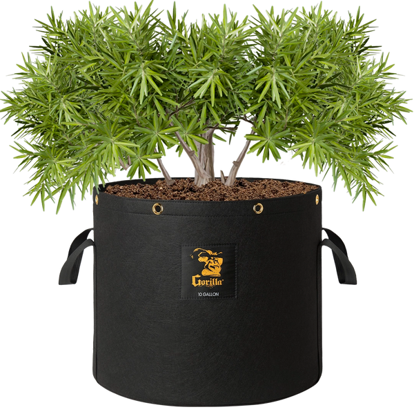 Gorilla 10 Gallon Grow Bags – ultra-durable, reusable fabric pots for healthier plants and bigger crops.
