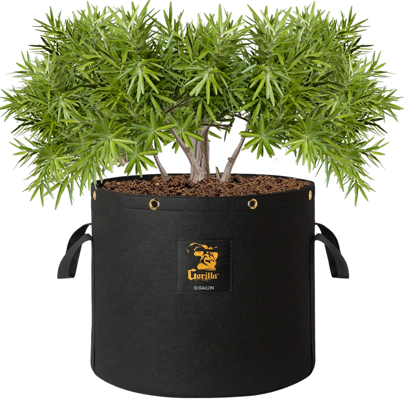 Gorilla 10 Gallon Grow Bags – ultra-durable, reusable fabric pots for healthier plants and bigger crops.
