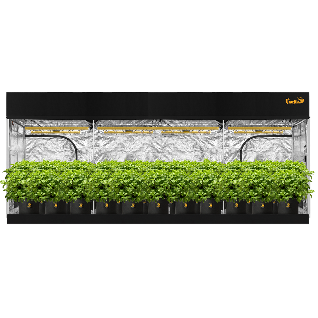 coolgrows tent 10x20 Grow Tent - Gorilla Grow Tent