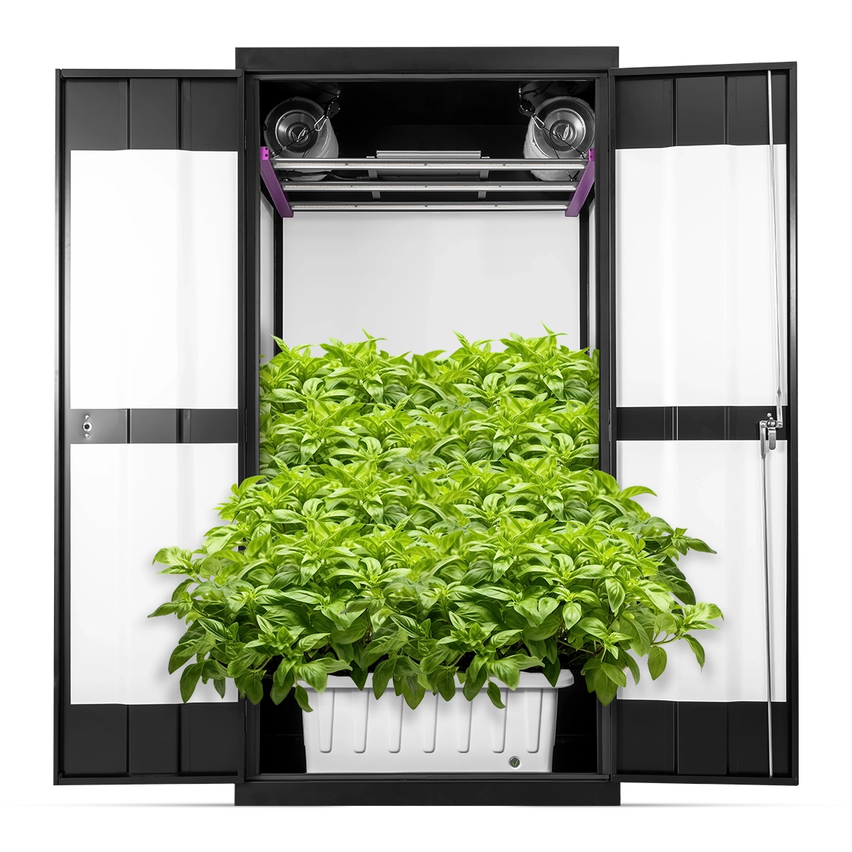 Hydro Stealth Grow Cabinet Cannabis Micro Growing: Growing Great Weed