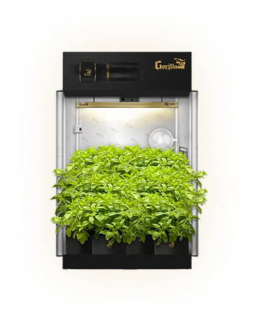 Grow Fans How to Set Up Inline Fan in Your Grow Tent: Complete 2025 Installation