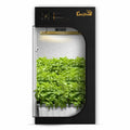 2x4 Gorilla Grow Room - Hydroponic