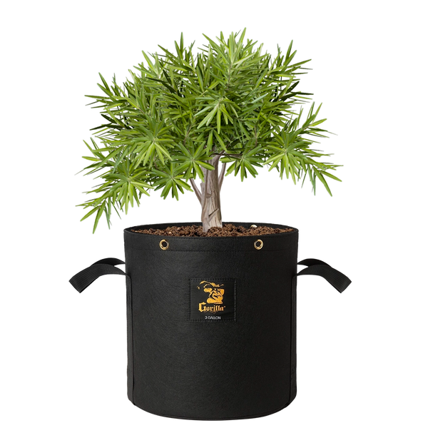 Gorilla 3 Gallon Grow Bag  (4 Pack)