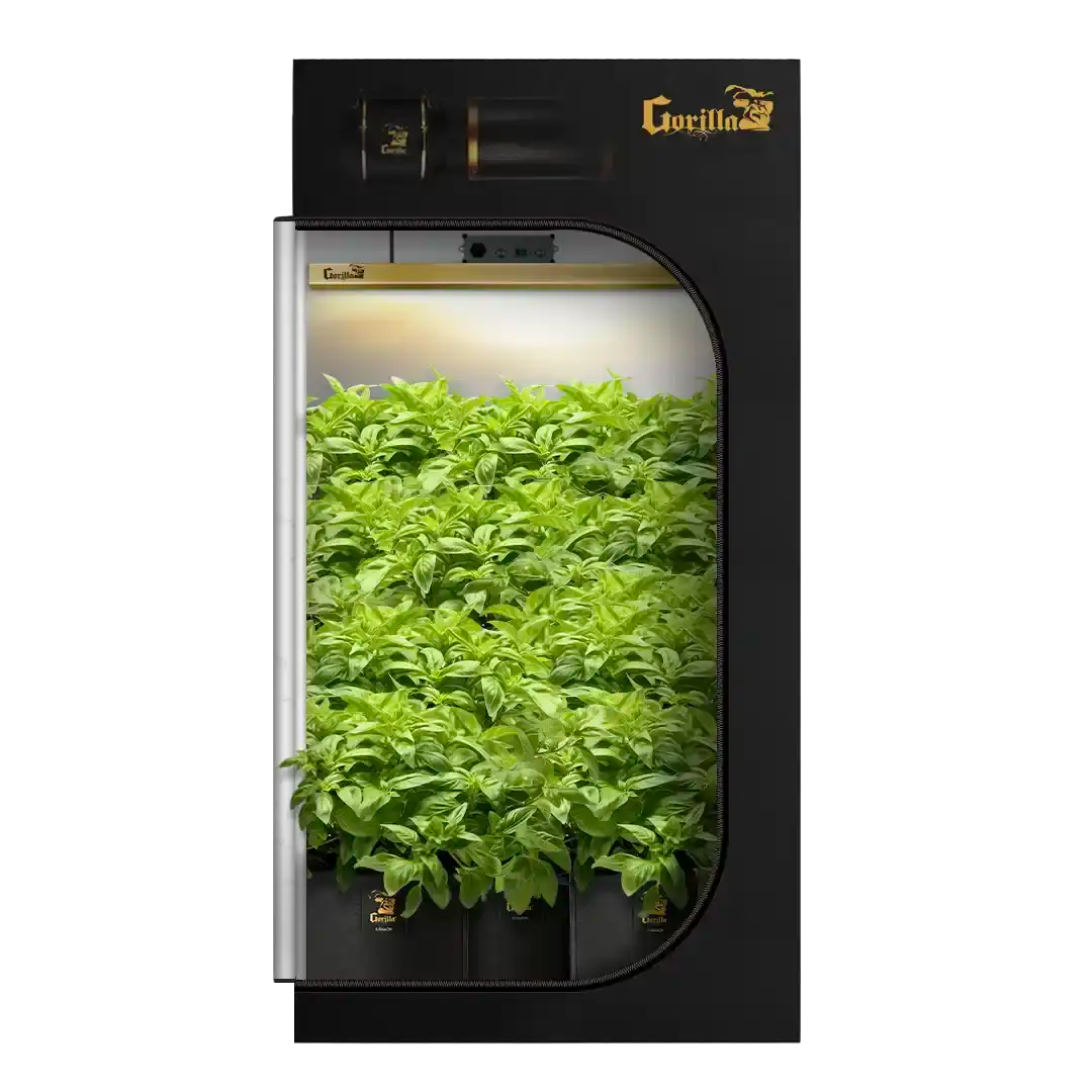 Complete 4x4 Grow Tent Kit for Soil-Based Indoor Growing