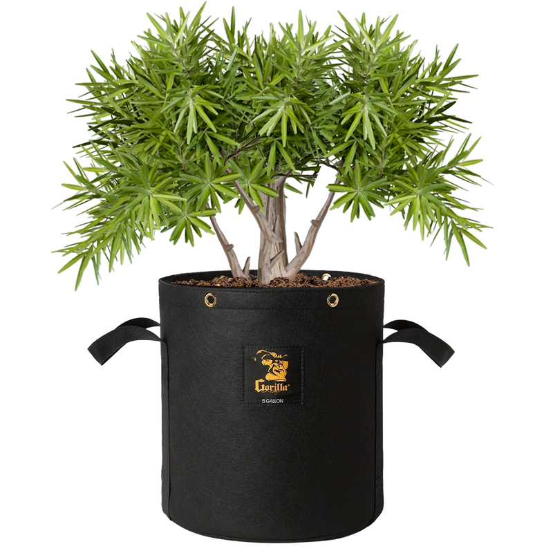 Gorilla 5 Gallon Grow Bag (4 Pack)