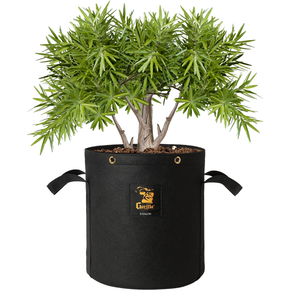 cheap 5 gallon plant pots Gorilla 5 Gallon Fabric Grow Bags (4 Pack)