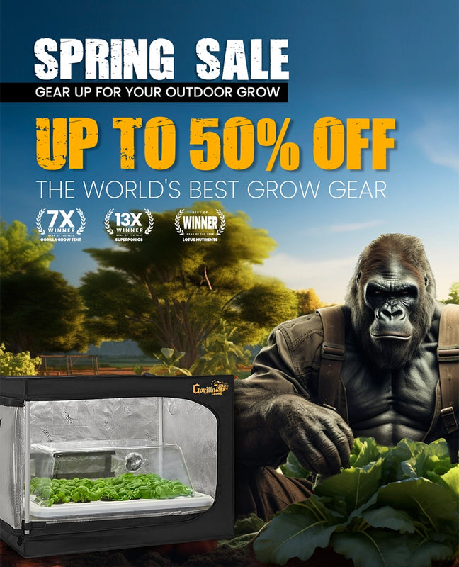 Grow Tent Kits with LED Grow Lights Hydroponic System