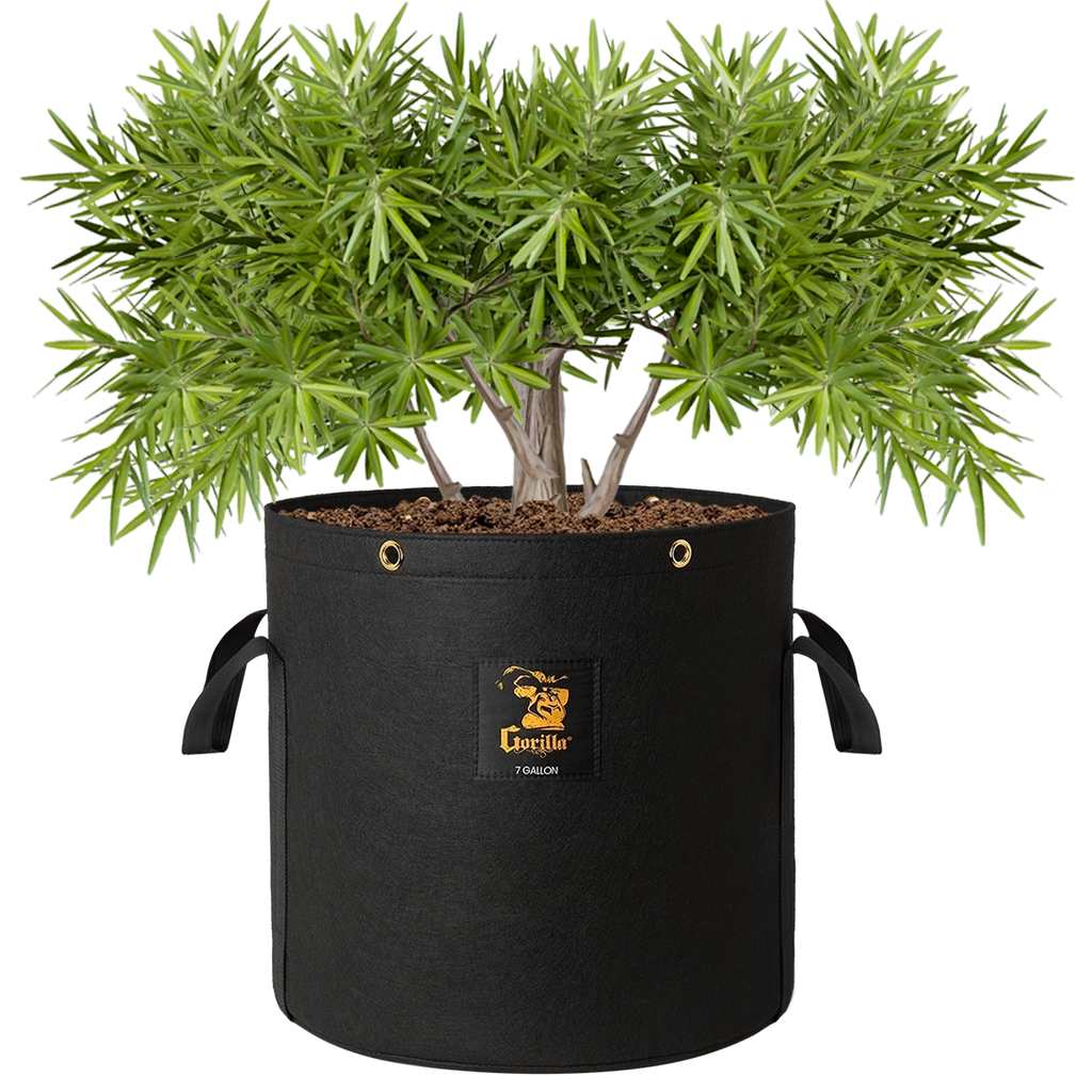 7 gallon plant pot Gorilla 7 Gallon Grow Bag (4 Pack)