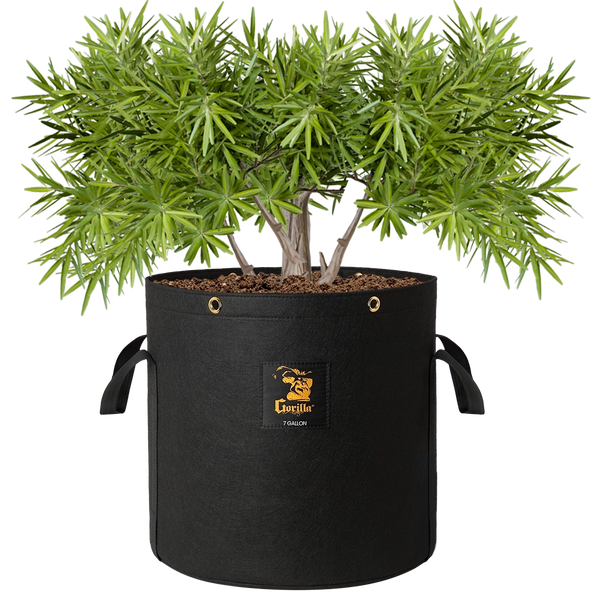 Gorilla 7 Gallon Grow Bags – Ultra-durable, breathable fabric for stronger, healthier roots.
