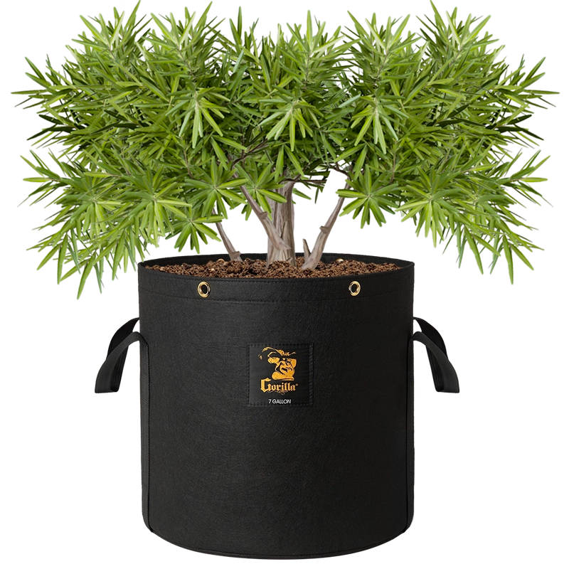 Gorilla 7 Gallon Grow Bags – Ultra-durable, breathable fabric for stronger, healthier roots.
