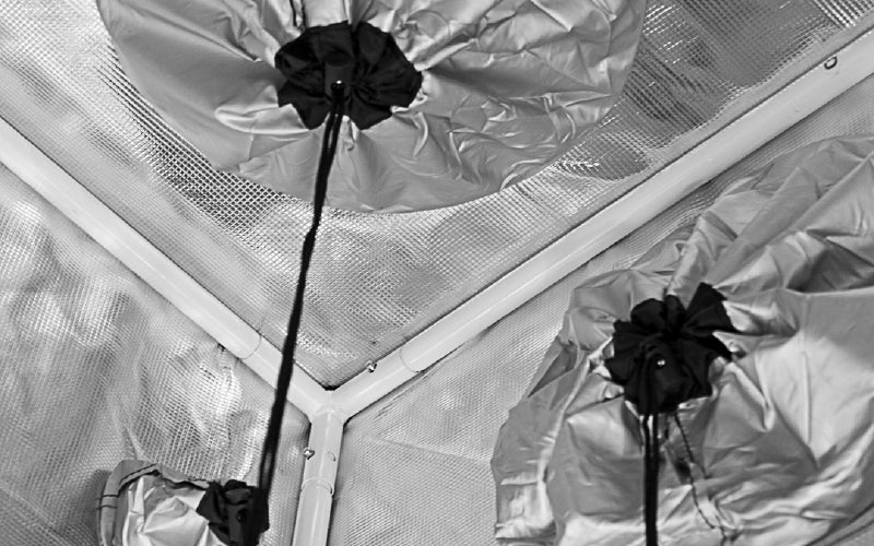 Gorilla Grow Tent