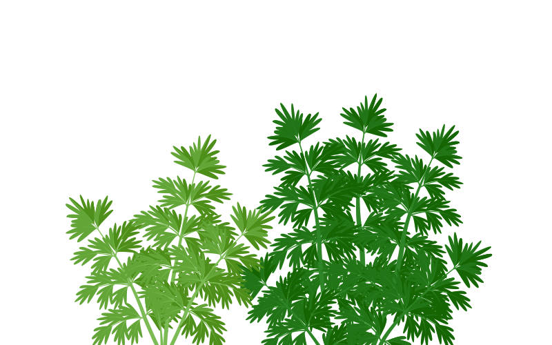 Gorilla Grow Tent