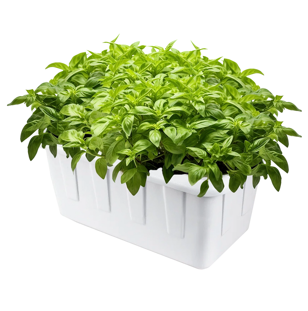 ITK.plant's様 種子セット DWC Hydroponic System, SuperPonics 8 | Gorilla Grow Tent