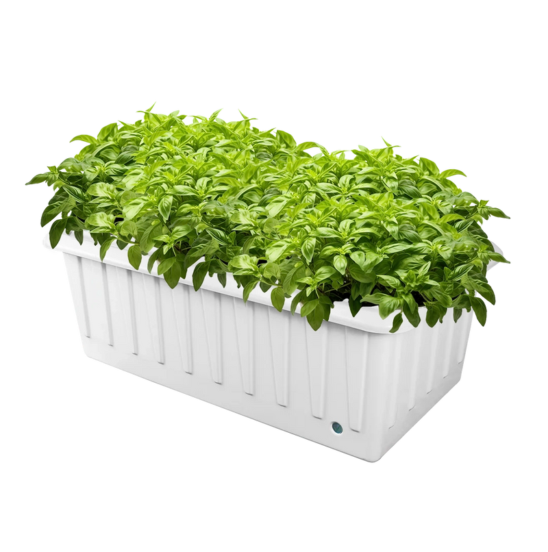 DWC Hydroponic System - XL 12: Grow bigger, faster with dual feeding systems.
