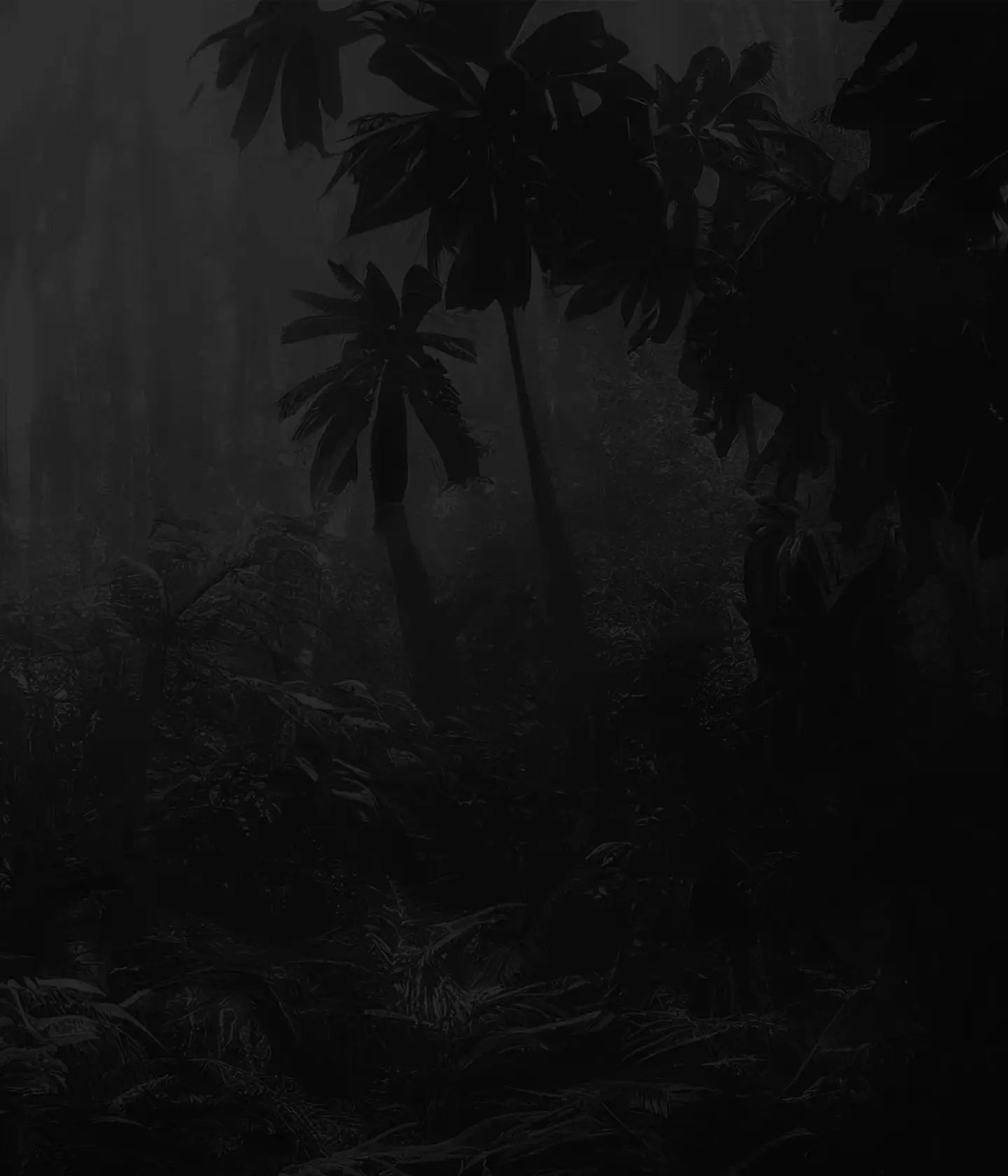 Section 9 Background