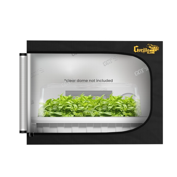 GGTCL24-kit-Cloner-