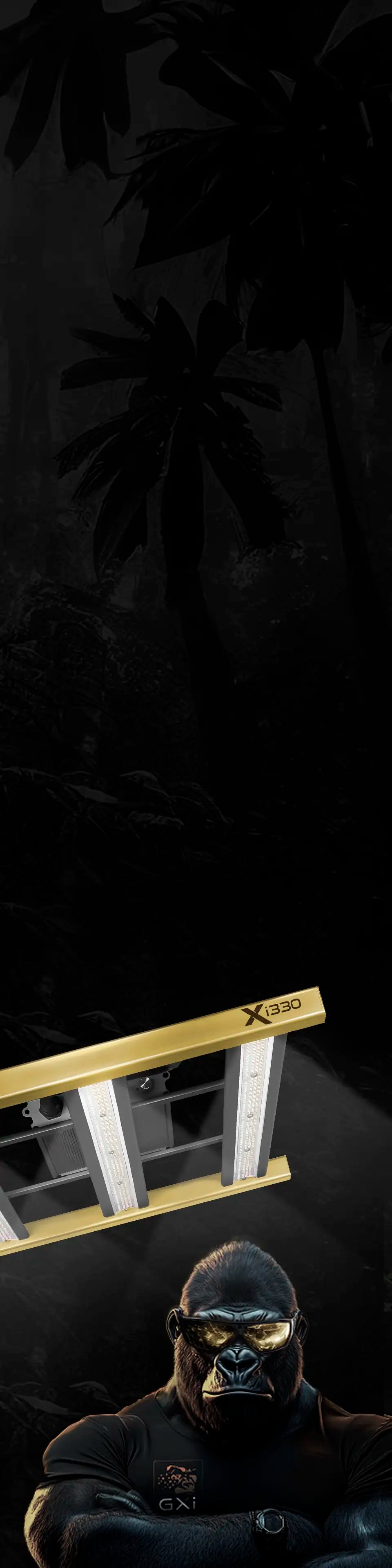 Section 7 Mobile Background
