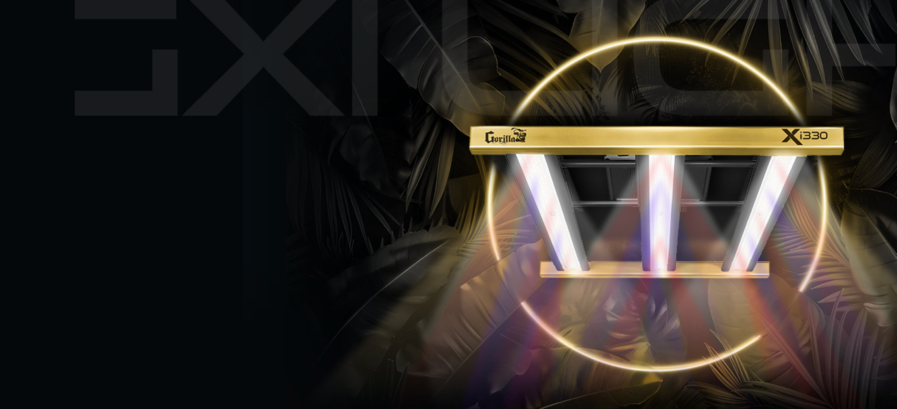 Section 1 Background