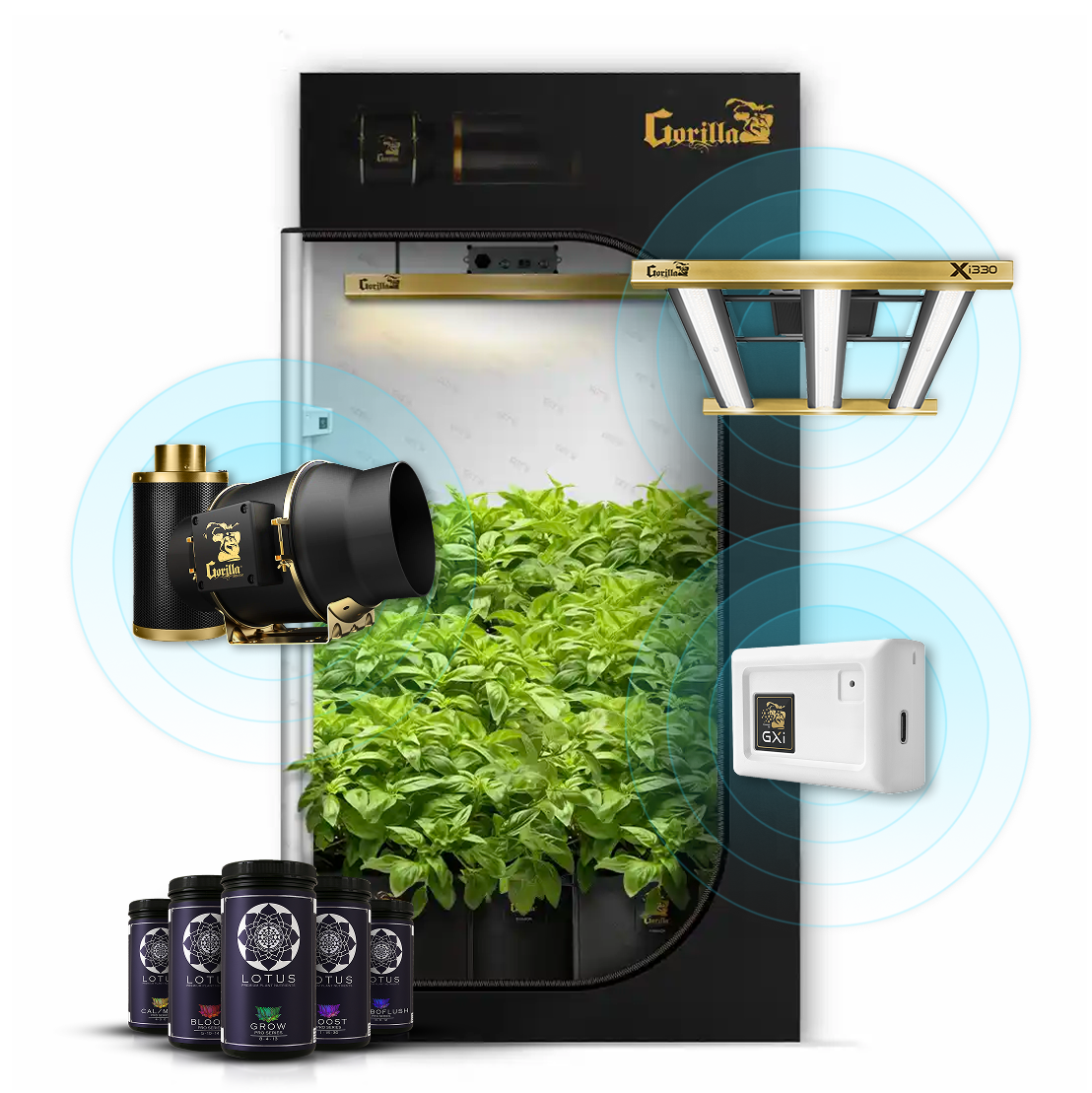 2x4 Gorilla Complete Grow Tent Kit for Indoor Growing – Soil