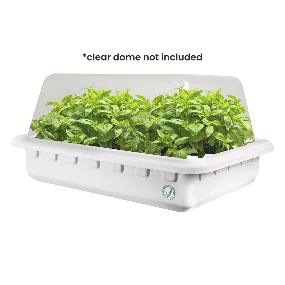 Hydroponic Cloner System - 50 Site