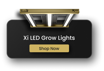 Xi LED Grow Lights