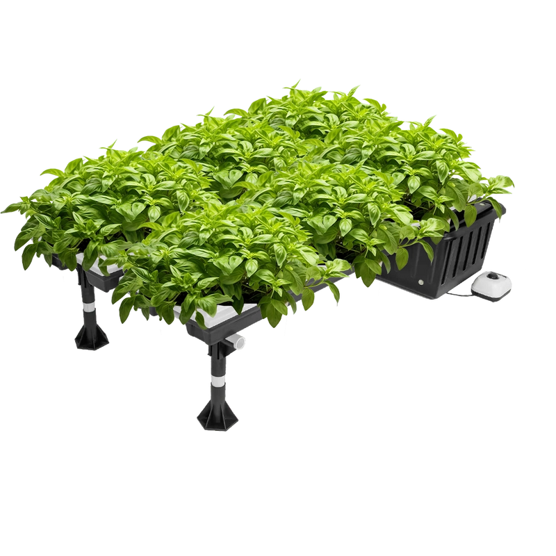 Super Flow Hydroponic System - 32-Site