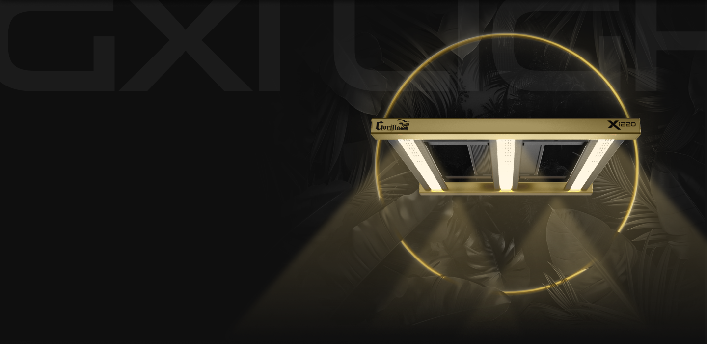 Section 1 Background