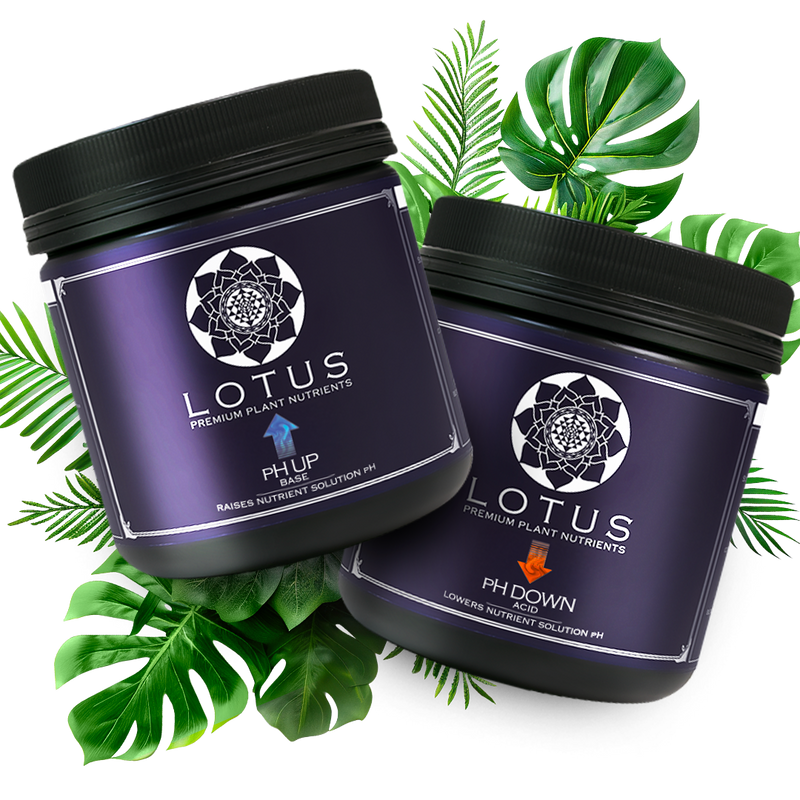 pH Control Kit | Lotus Nutrients for Perfect pH Balance

