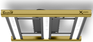 Xi 220
