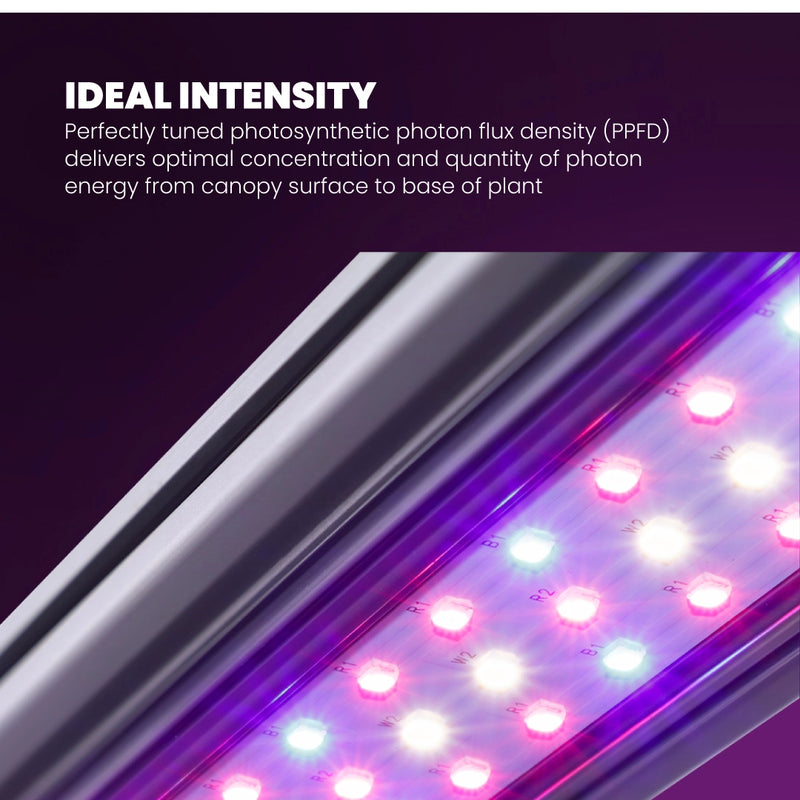 Kind LED Grow Light Bar