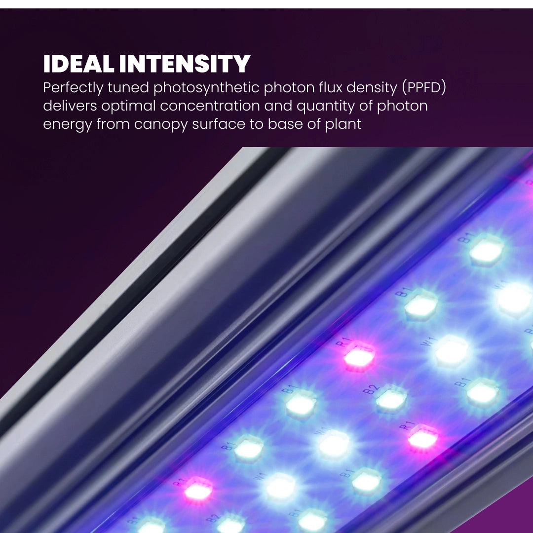 Kind LED Grow Light Bar